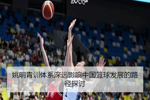姚明青训体系深远影响中国篮球发展的路径探讨